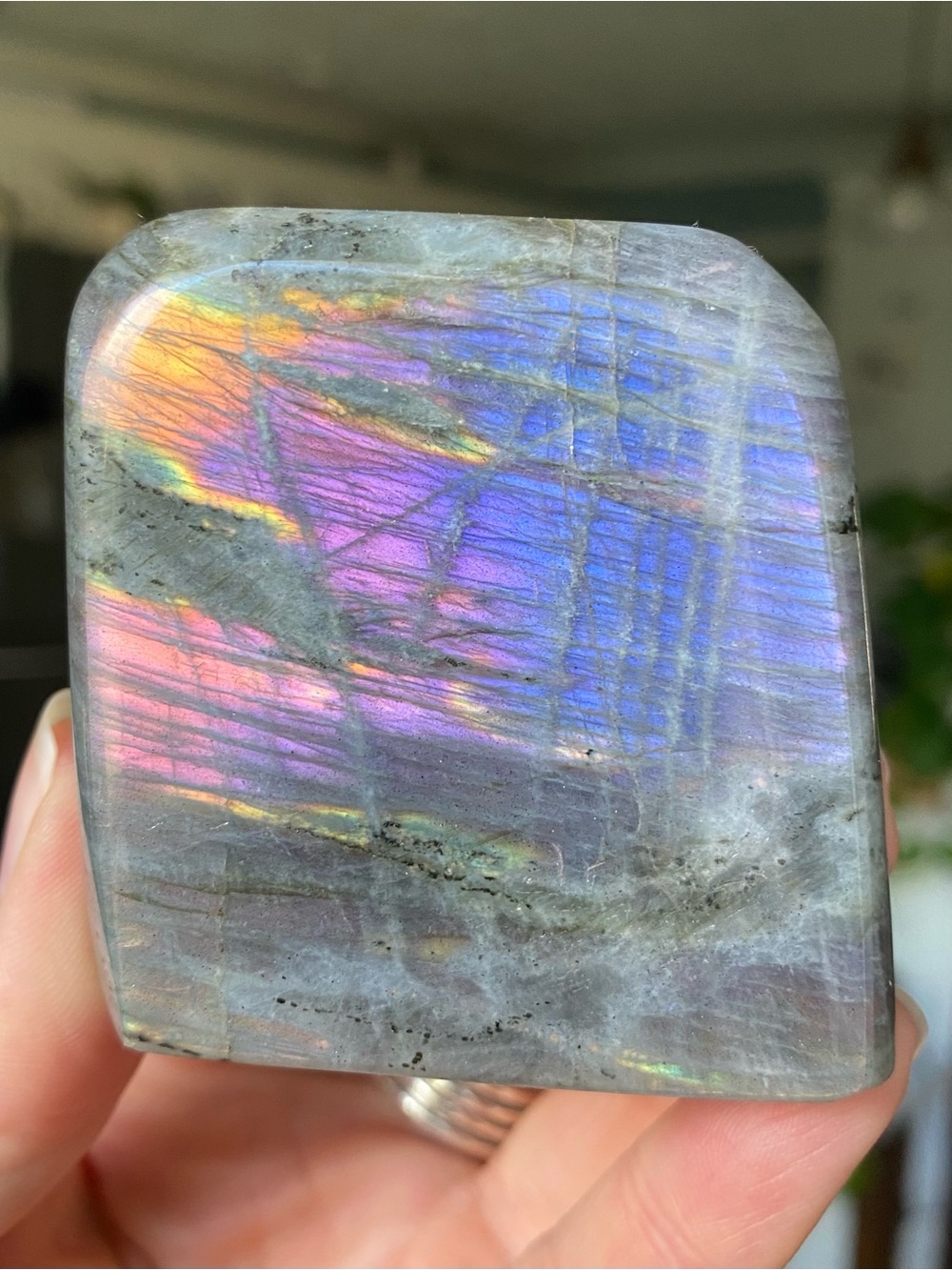 Iridescent Gray Labradorite Display Stone - Multicolor Sheen